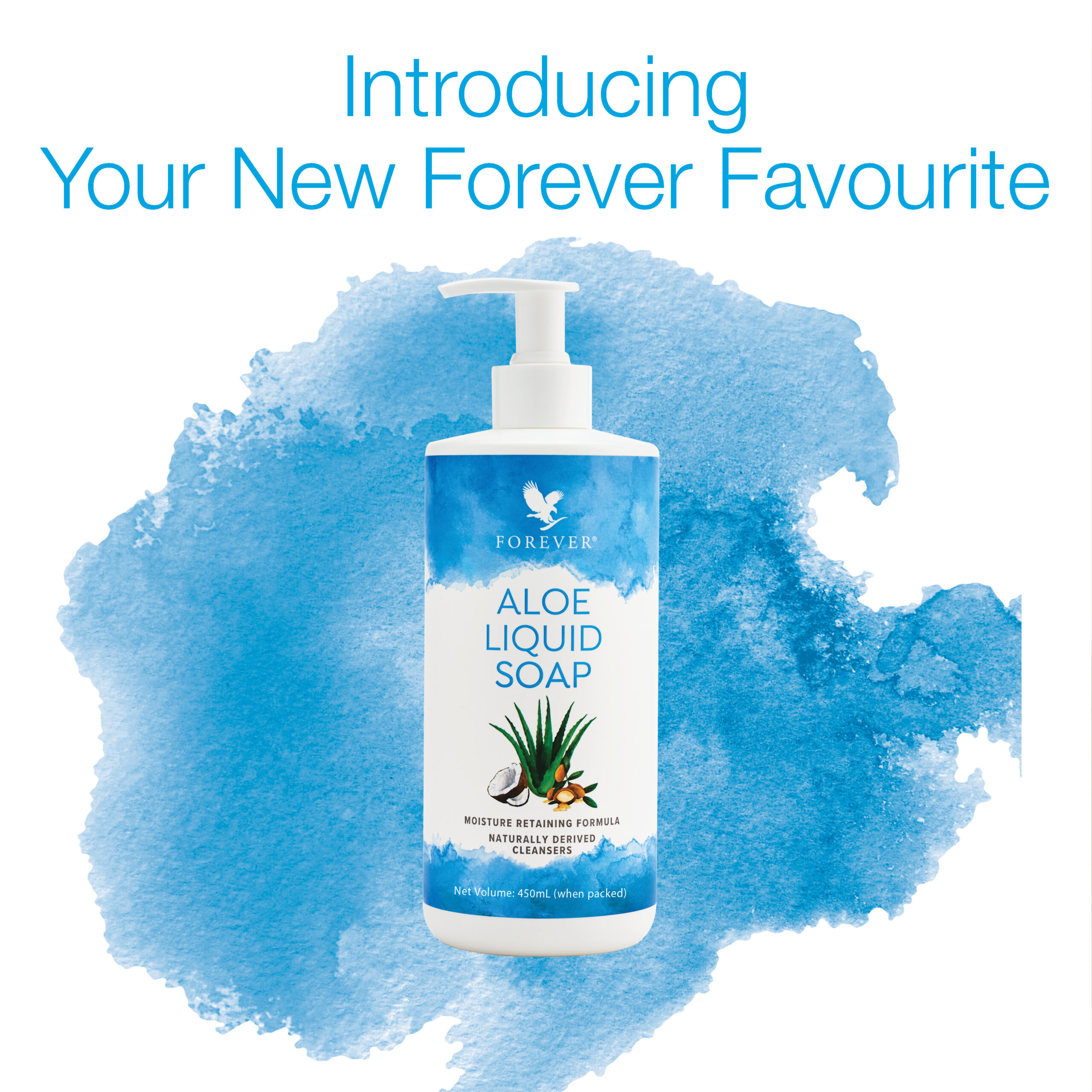 ALOE LIQUID SOAP - Image 3
